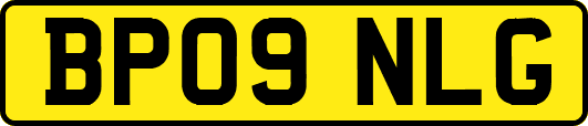 BP09NLG