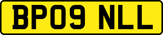 BP09NLL