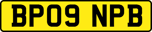 BP09NPB