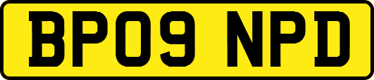 BP09NPD