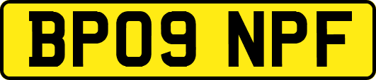 BP09NPF
