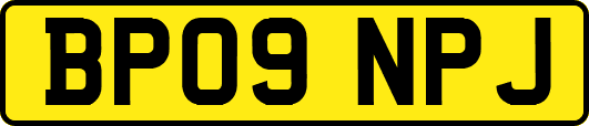 BP09NPJ