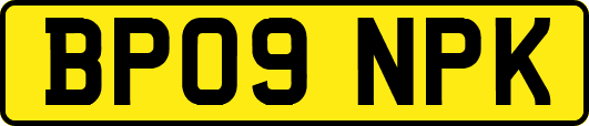 BP09NPK