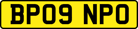 BP09NPO