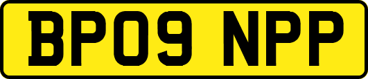 BP09NPP