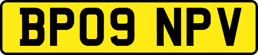 BP09NPV