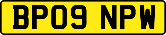 BP09NPW