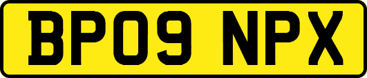 BP09NPX