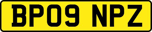 BP09NPZ