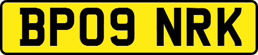 BP09NRK