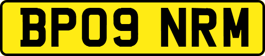 BP09NRM