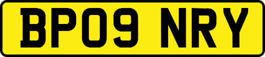 BP09NRY