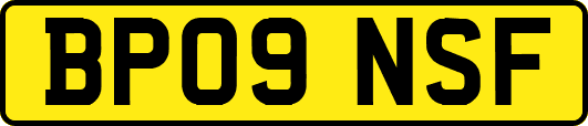 BP09NSF