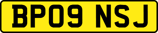BP09NSJ