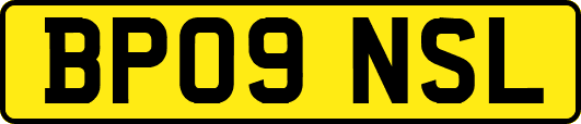 BP09NSL