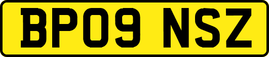 BP09NSZ