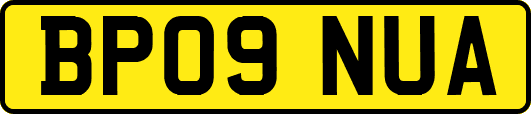 BP09NUA