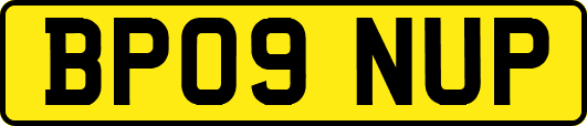 BP09NUP
