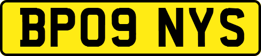BP09NYS