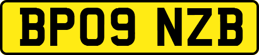 BP09NZB