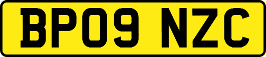 BP09NZC