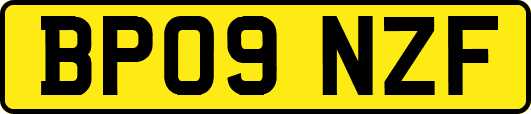 BP09NZF