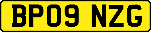 BP09NZG