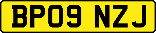 BP09NZJ