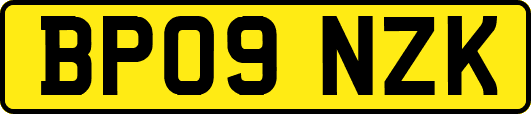 BP09NZK