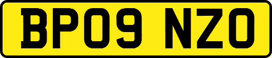 BP09NZO