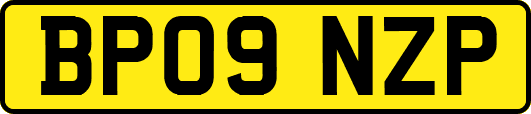 BP09NZP
