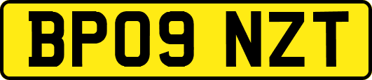 BP09NZT