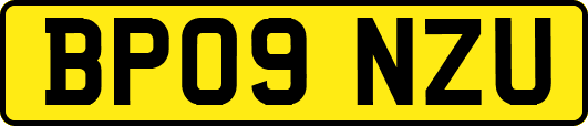 BP09NZU