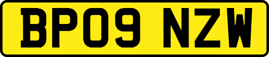 BP09NZW