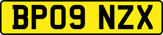 BP09NZX