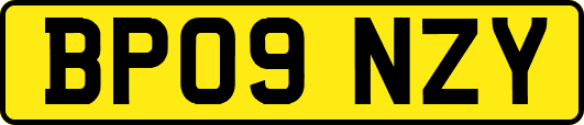 BP09NZY