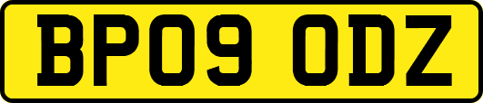 BP09ODZ
