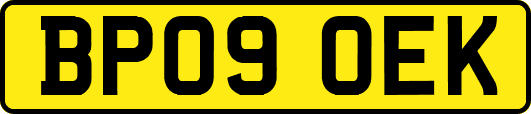 BP09OEK