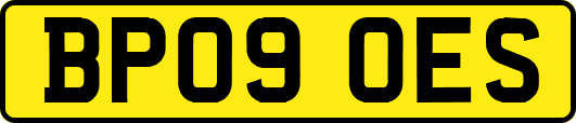 BP09OES