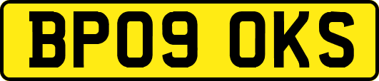 BP09OKS