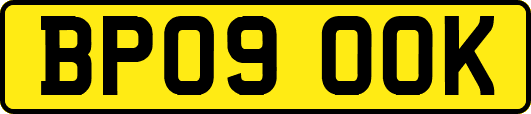 BP09OOK