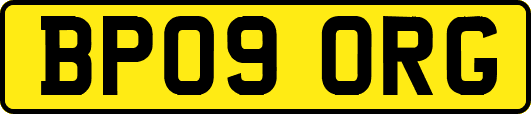 BP09ORG