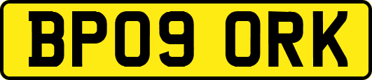 BP09ORK