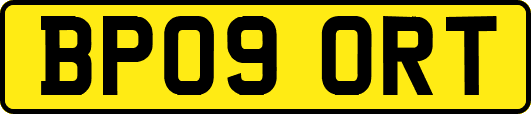 BP09ORT