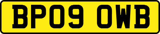 BP09OWB