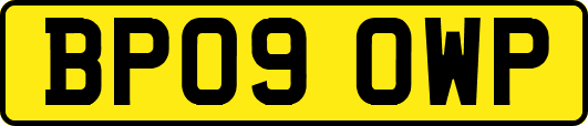 BP09OWP