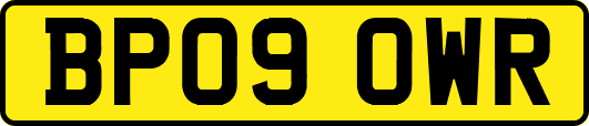 BP09OWR