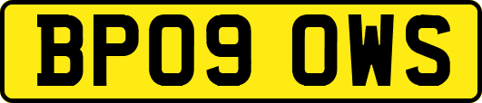 BP09OWS