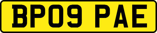 BP09PAE