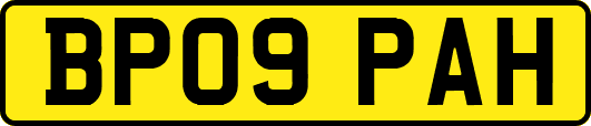 BP09PAH